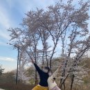 태학산 오토캠핑장 남자화장실 이미지