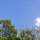 퀸 엘리자베스 콩쿠르 수상자 콘서트 | 퀸 엘리자베스 콩쿠르 수상자 콘서트