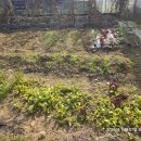 함박뫼로152번길 이미지