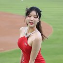 야무진 - 6313 | 야무진