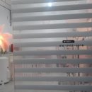 만두네 애견미용실 이미지