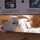 고창상하목장 이미지