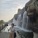아라나라 이미지