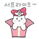 셀라토이즈