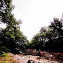 일어방 &amp; 바둑방 과천 계곡🏞⛰️ 정모 사진 , 후기 이미지