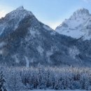 (주)바이오플랫폼 이미지