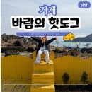 거제 핫도그 애견샵 | 거제 예쁜 카페 바람의핫도그 본점 핫도그 안 먹고 사진만 찍은 이유
