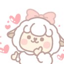 펫츠 퀴진 이미지