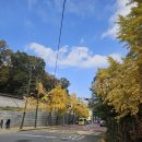 종로-신교-종로-신-301 | [W08] 웨딩밴드 계약 후기(공방301)