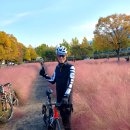 두물머리공원 이미지