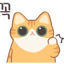 호텔아쿠아펠리스 지점 이미지
