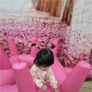 아이림어린이집 이미지