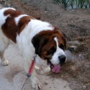 부마클럽 이미지