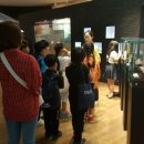 목포자연사박물관 이미지