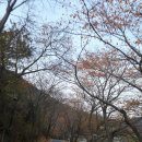 금오운수(주) | 지리산의 문수도량 칠불사(경남 하동군 화개면 범왕리 1605)