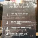 용산2가동360 | 이태원 해방촌 수제버거 파는 더백푸드트럭 솔직한 후기