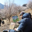 양산 15 경남일보