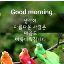 송연 이미지