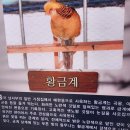 임실자연농원 이미지
