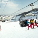 곤지암리조트스키장곤지암눈썰매장 중앙일보