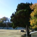 양남초등학교 이미지