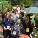 한국농아인협회 경상북도협회 청도군지회 티스토리