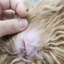 여울동물병원 이미지