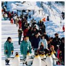 창조디자인 이미지