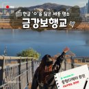 금강보행교 북측 공원 | 세종 산책 가볼만한 곳 이응다리 금강보행교 공용자전거 어울링 대여
