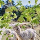 경춘목장 이미지