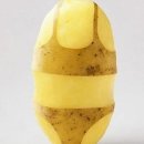 감자 이미지