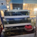 등불 | 화성 봉담 고기부터 해산물까지 가성비최강 "등불회관" 방문 후기