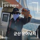 군산낚시프라자 | 군산낚시프라자 문어낚시 돌문어 선상낚시 범고래호 내돈내산 후기