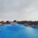 도그베이 수원 이미지