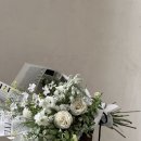 피움꽃간