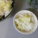 안계합동미곡종합처리장 | 맛있는쌀 의성진 영호진미 안계쌀 감자밥짓기