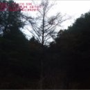 하색2리 마을회관 이미지