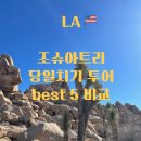 윈드밀민박 | [LA여행]당일치기 조슈아트리 투어 best5 추천/비교+마이리얼트립 할인코드