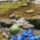 철이네캠핑장 이미지