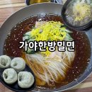 가야한방밀면 이미지