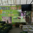 봉황농장 이미지