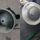 닥터카랜드 이미지