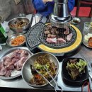 신마포갈매기하소점