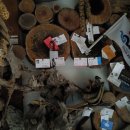 농촌전통테마마을 이미지