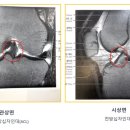 대한민국행정사사무소 이미지