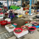 동강전통시장 이미지