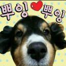 오션트래버스
