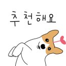 청학동별빛캠핑장 이미지