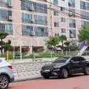 현대아파트 앞 이미지