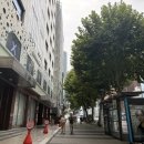 정한의원 | 강남다이어트한의원 밀감정 다이어트 솔직 후기